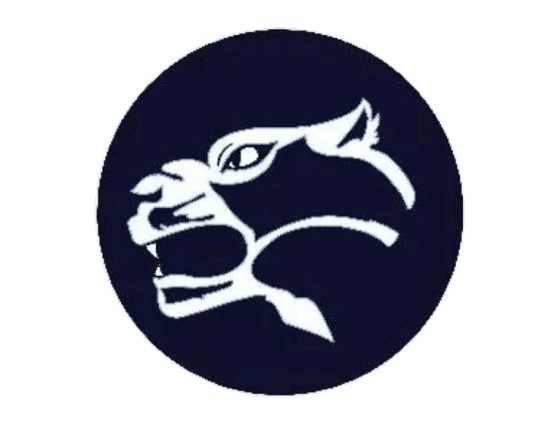 Wildcat Icon